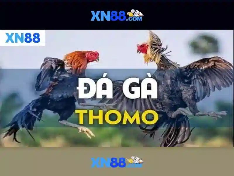 💎rigtige penge gratis slots💎