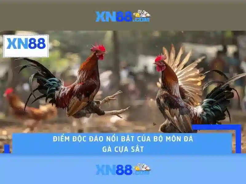 💎nhà cái vn1💎
