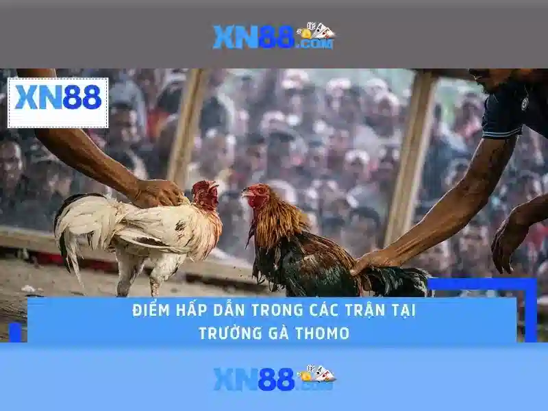 💎tỷ lệ cá cược chung kết c1💎