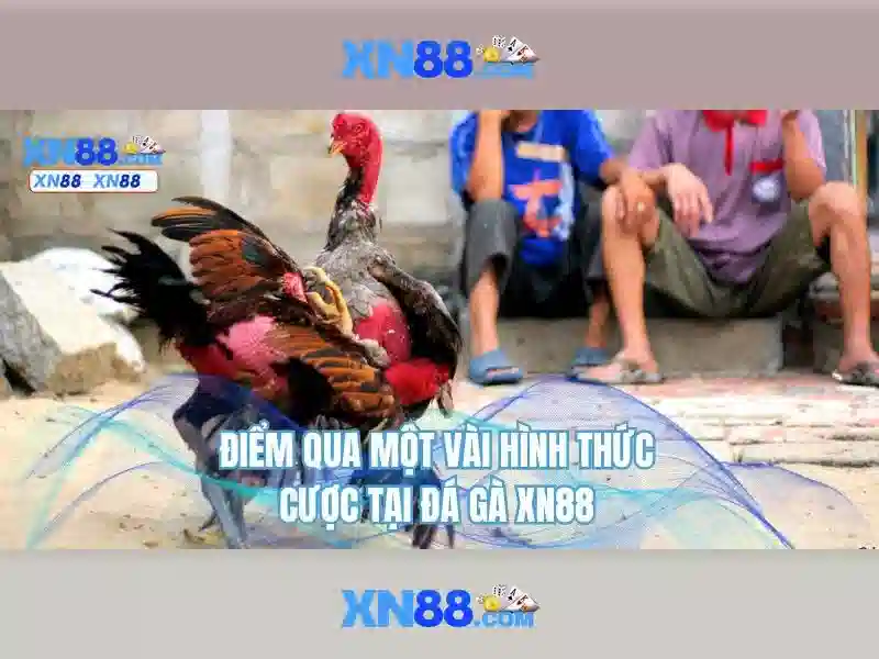 💎lịch thi đấu và tỷ lệ cá cược💎