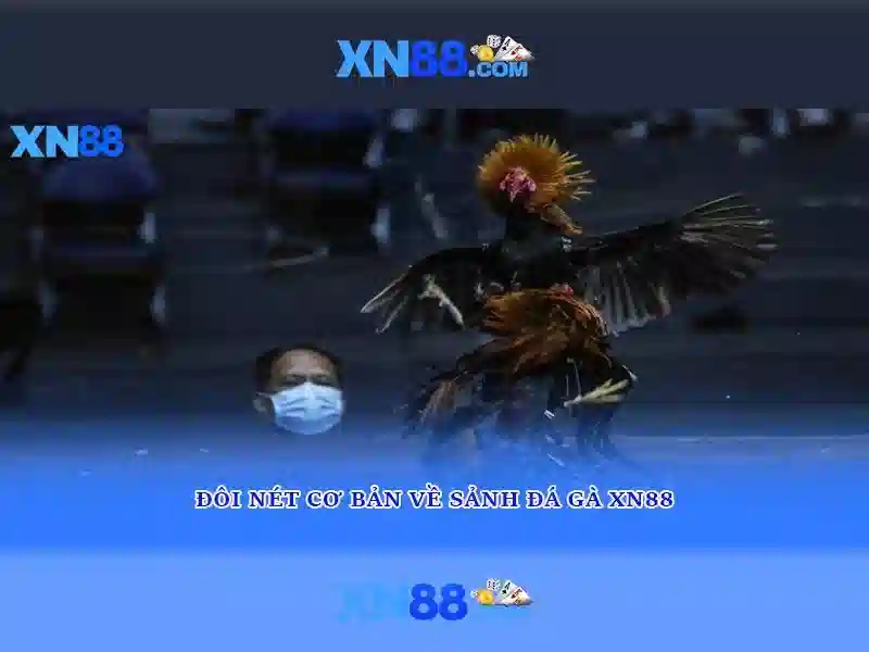 💎kèo nhà cái ý và anh💎