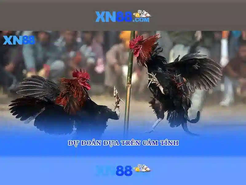 💎danh cam bang day bac va trung ga💎