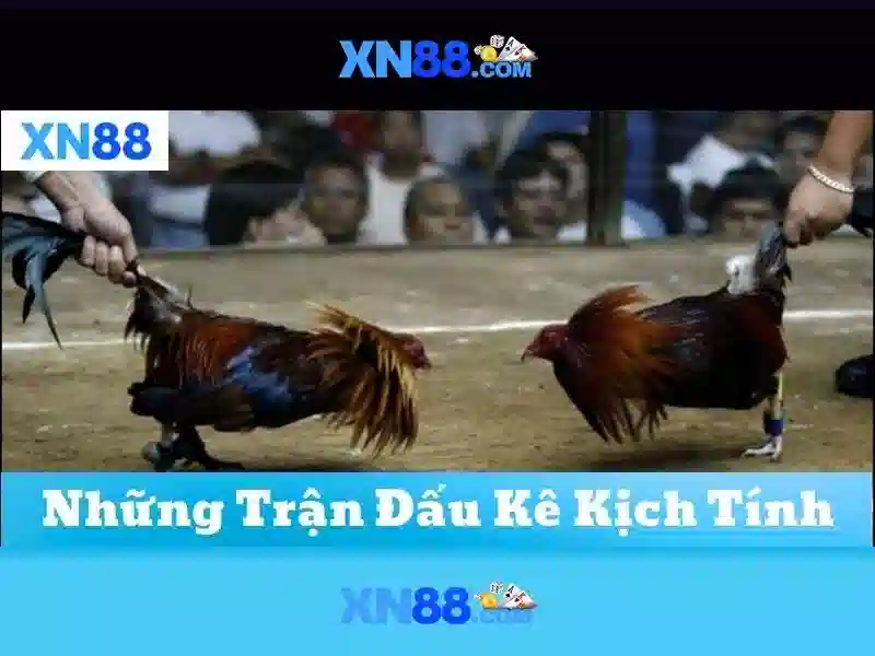 💎m88 nhà cá cược💎