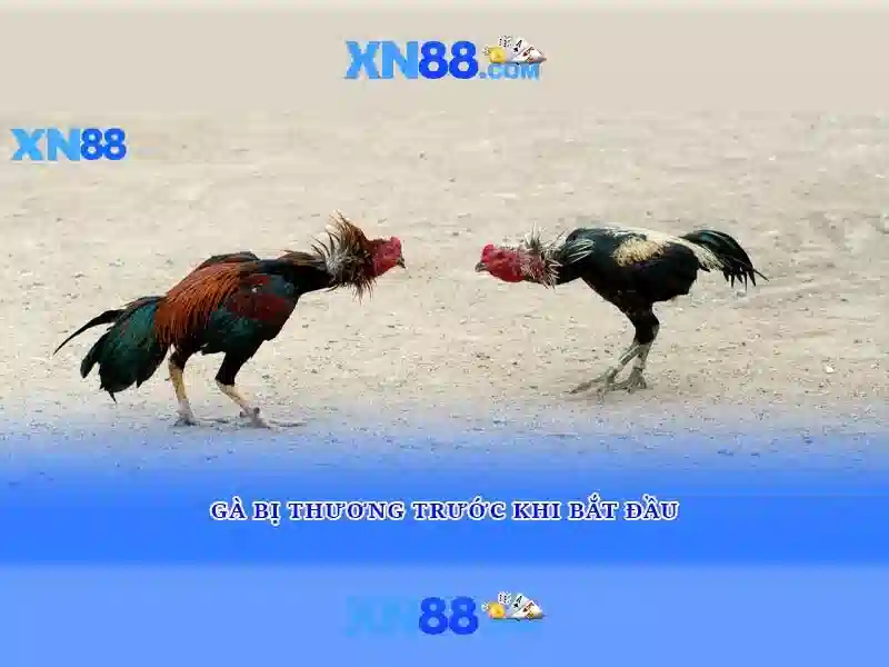 💎gold rush slot💎