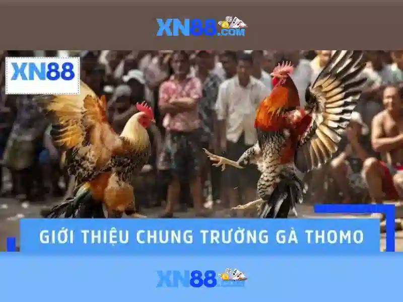 💎top 10 nhà cái cá cược thể thao💎