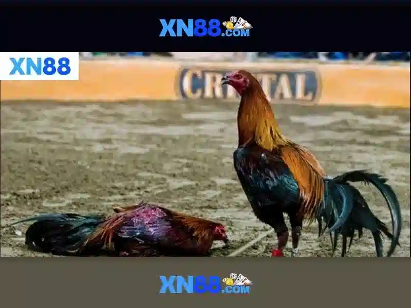 💎burning classics slot💎