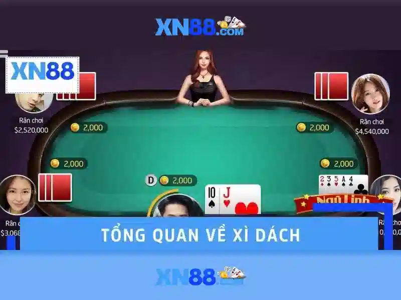 💎cá cược kha dục💎