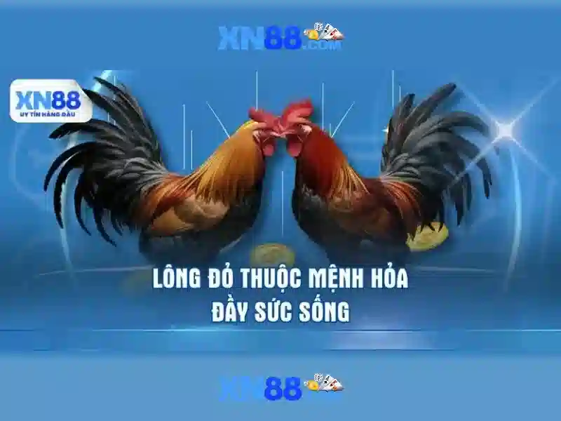 💎hình thức cá cược bóng đá💎