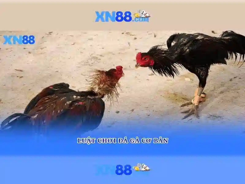 💎slot motor 77💎