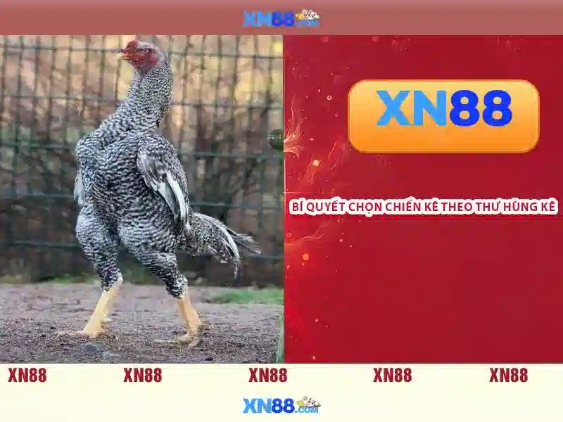 💎1 bmw nhà cái💎