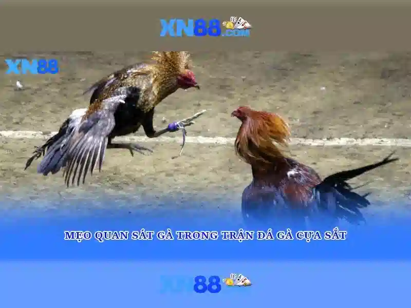 💎melhores slots pragmatic play💎