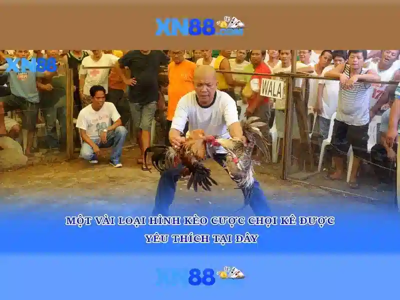 💎kèo nhà cái 5 chấm💎