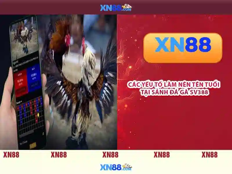 💎tỷ lệ cá cược tapchithethao💎