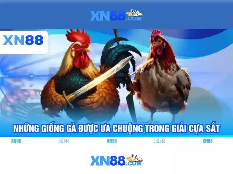 liên hệ xn88 slot - XN88
