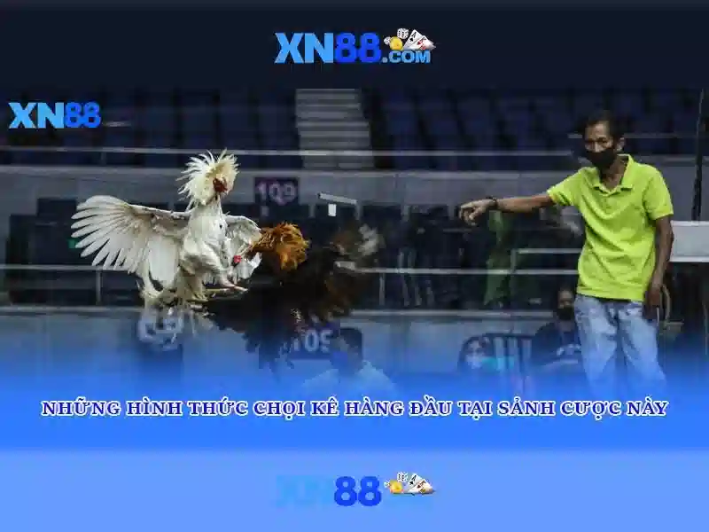 💎tm6 nhà cái💎