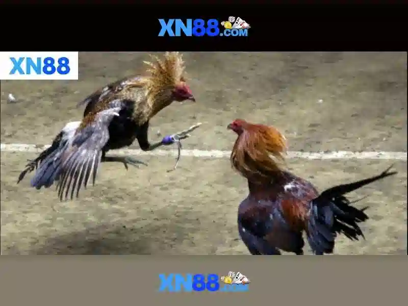 💎danh sách f0 ở bắc giang💎