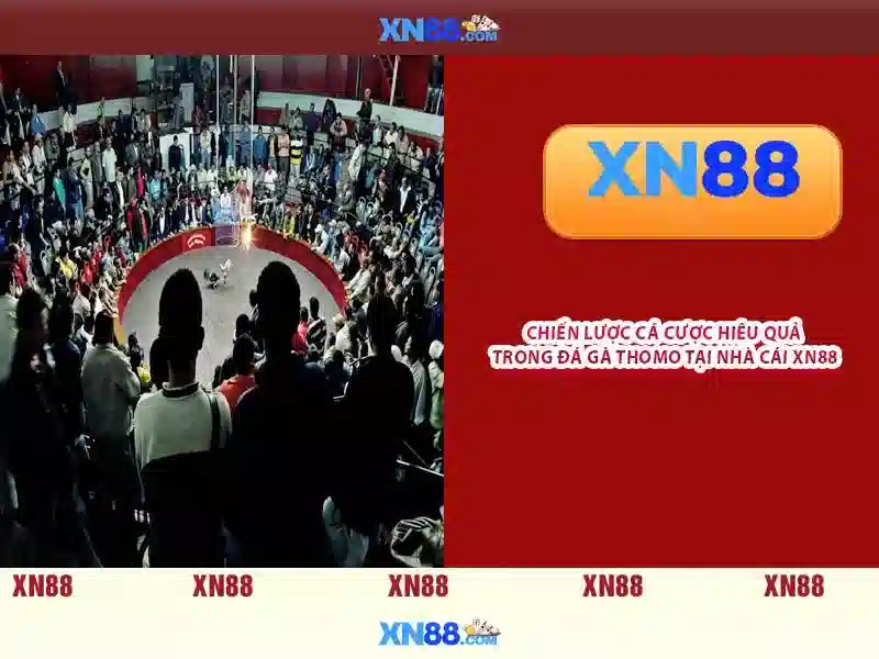 💎link nhà cái zbet💎