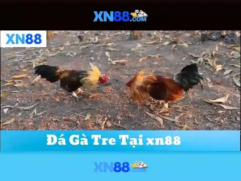 💎garden by the bay booking time slot💎