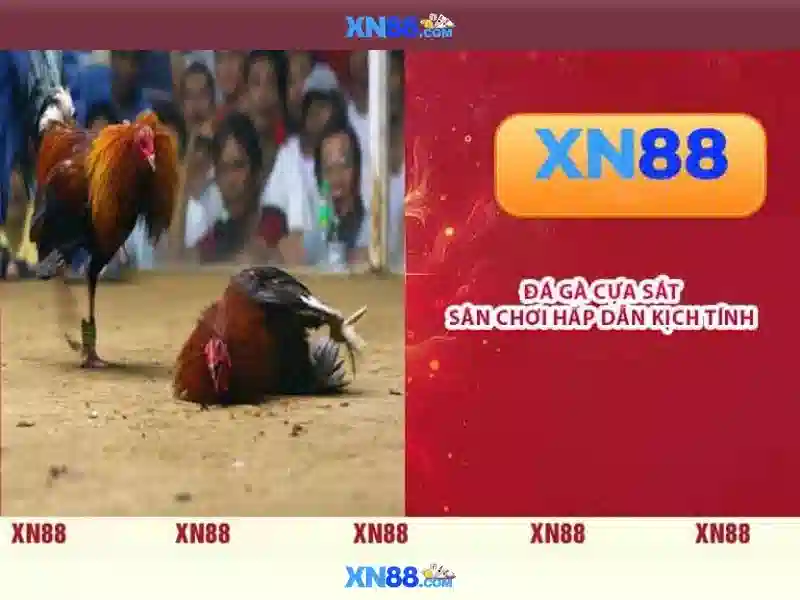 💎apk download lucky 777 slots💎