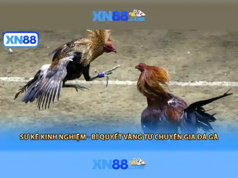 💎rise of merlin slot💎