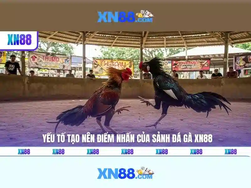  hỗ trợ khách hàng - XN88