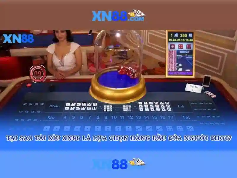 XN88 – Khám Phá Thế Giới Slot Đa Dạng và Hấp Dẫn 2026 - XN88