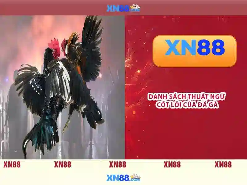 💎nhà cái tặng tiền cược💎