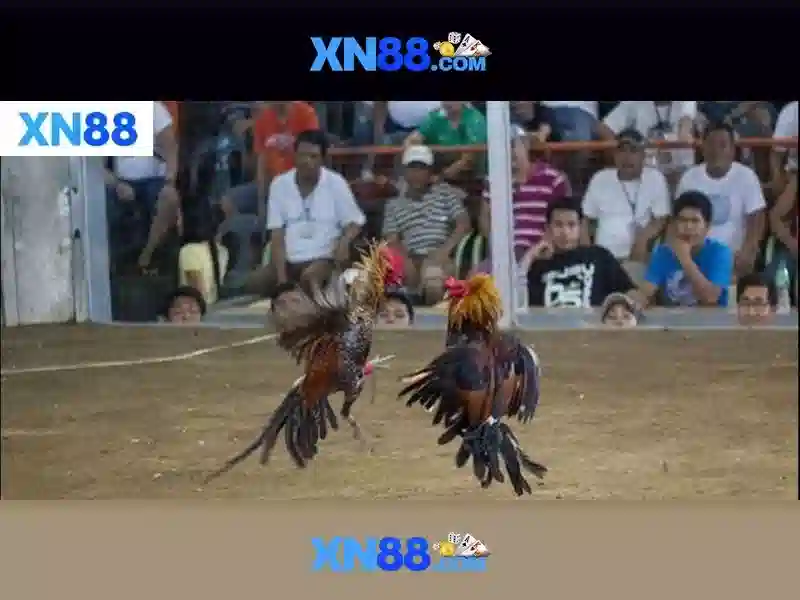 💎casino slots real money app💎