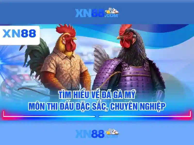 💎nhà cái việt nam thái lan💎