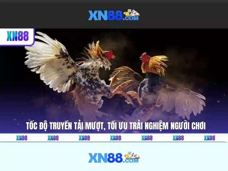 💎sbobet tỷ lệ cá cược kèo nhà cái💎