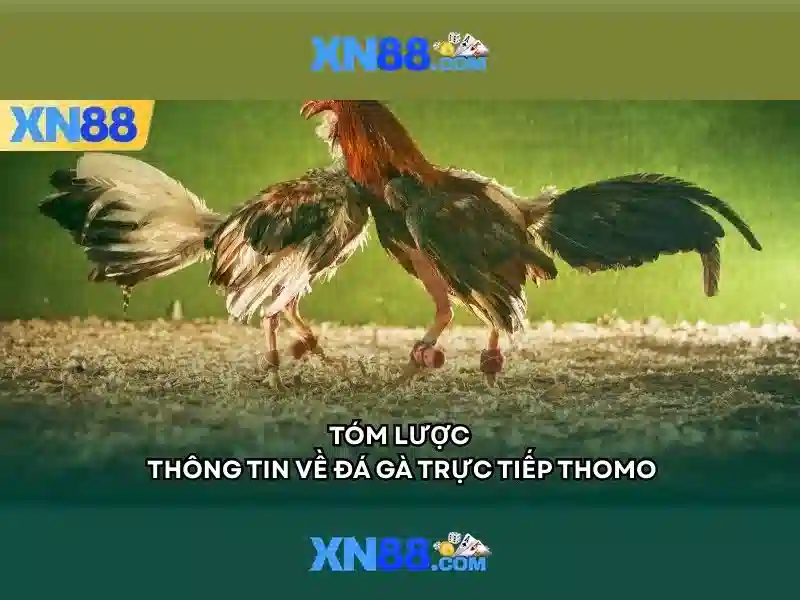 💎nhà xe sao việt ninh bình lào cai💎