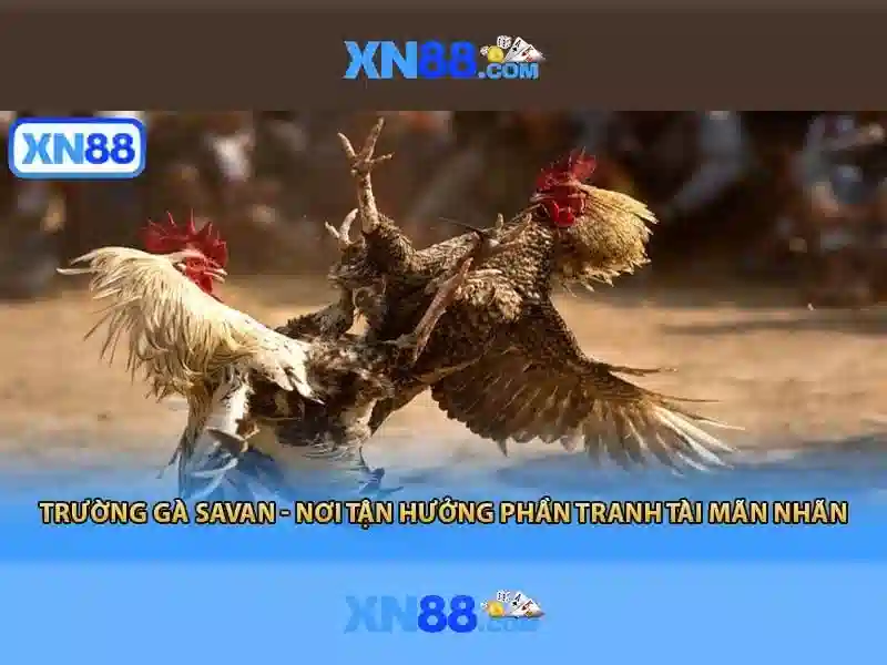 💎bk8 nhà cái💎 - bk8 nhà cái - nha cai bk8