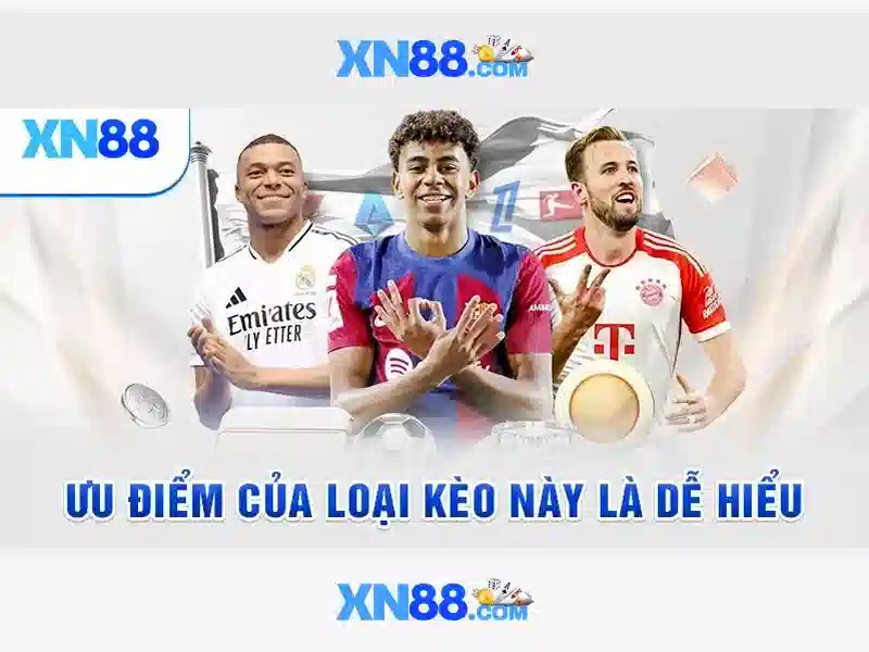 💎big bot crew slot💎