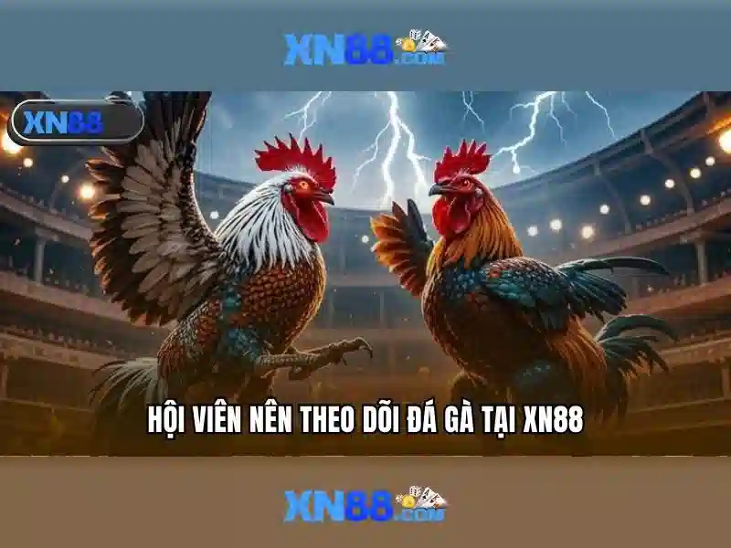 💎cách đánh sập nhà cái💎