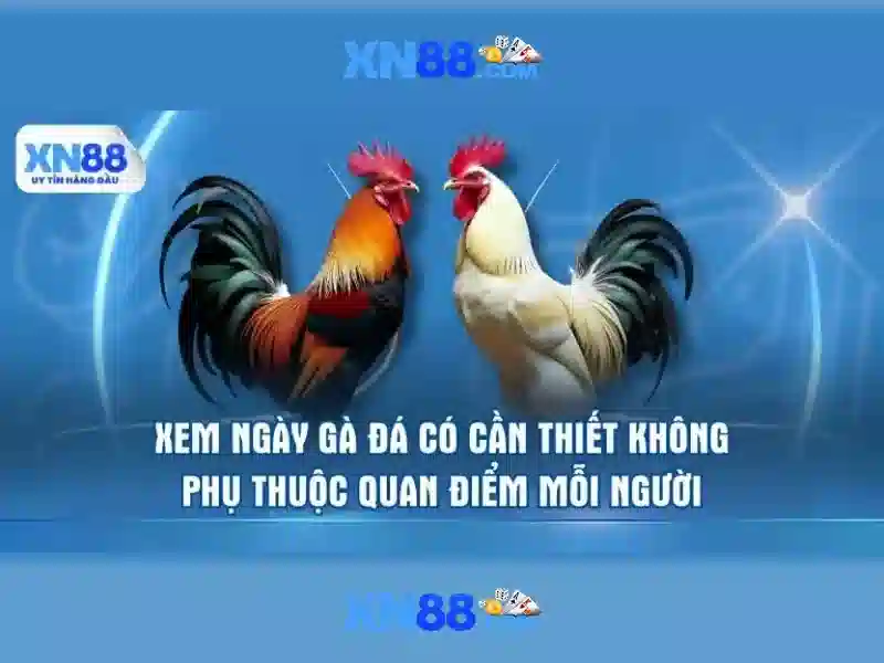 💎cả cuoc doi cha di bo doi💎