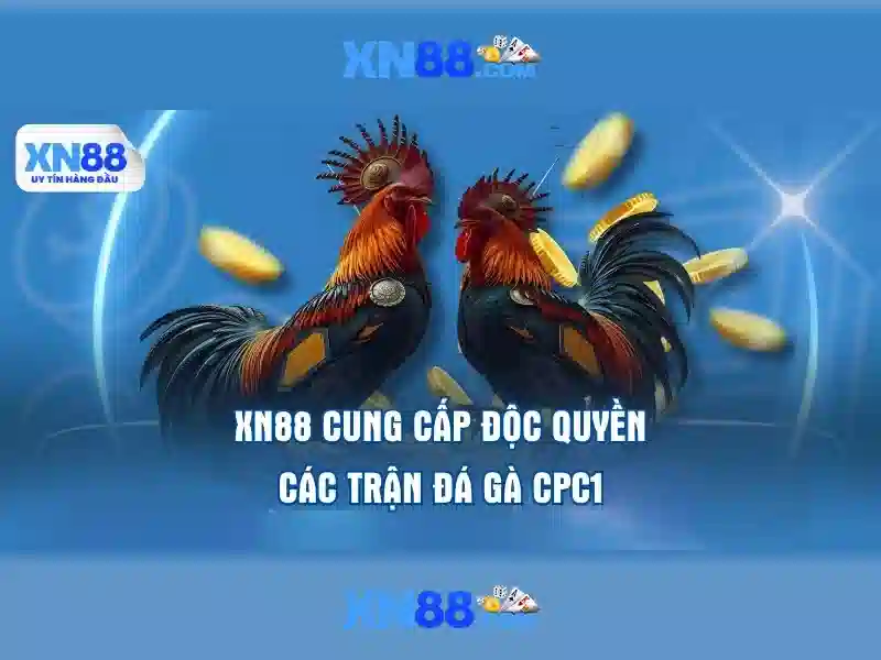 💎ca nhạc chế linh người nhập cuộc💎