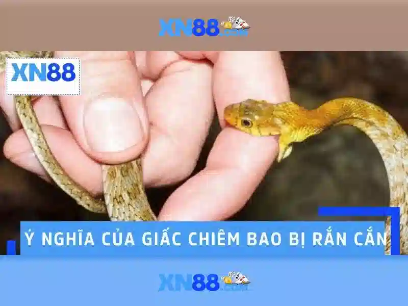 💎sòng bạc lớn💎