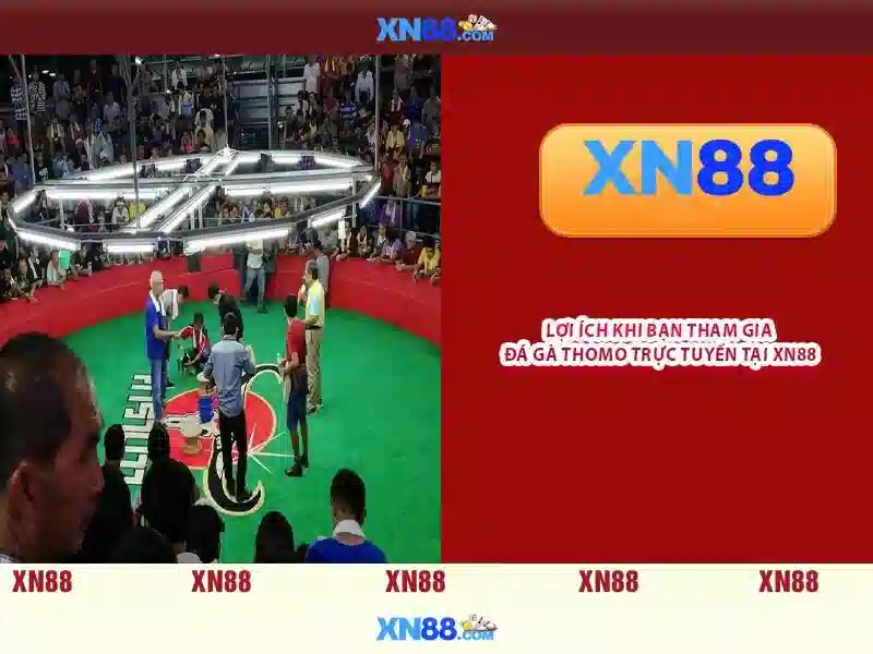  giải đáp thắc mắc - XN88