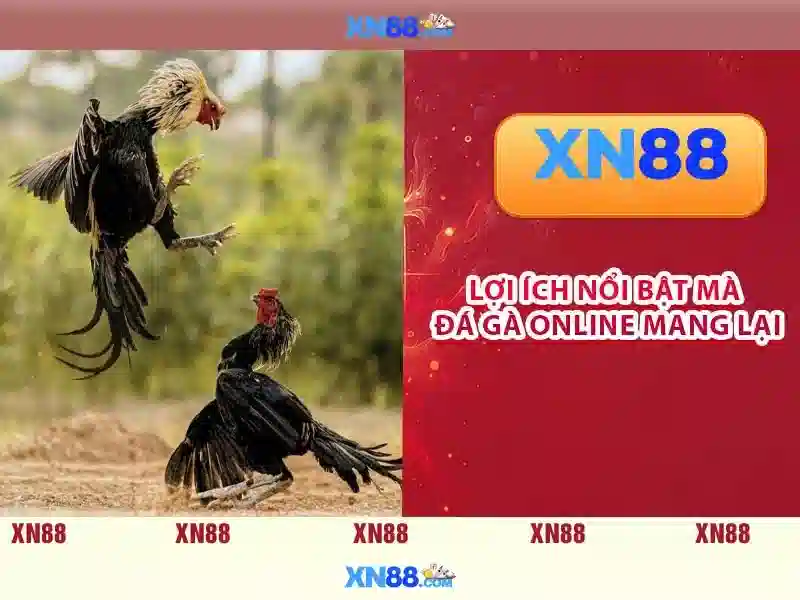 💎nhà cái uy tín futbol💎