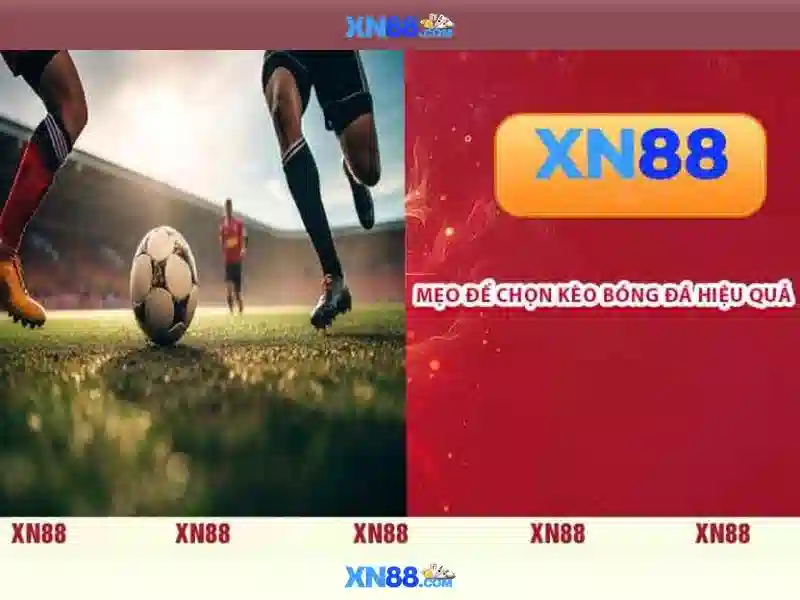 💎nhà cái rikvip💎