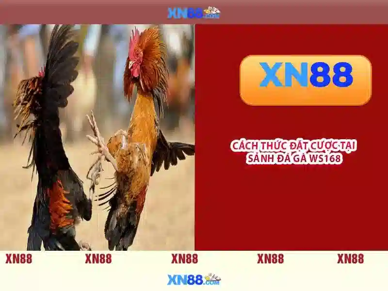 💎kèo 5 nhà cái💎