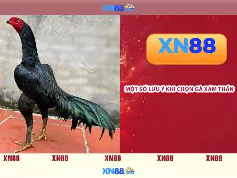 💎nhà cái uy tính nctb💎