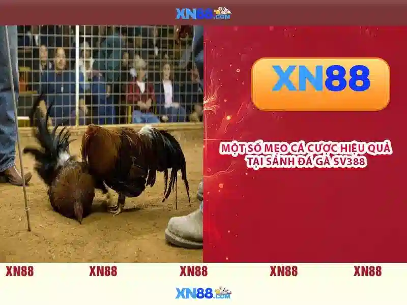 💎the walking dead slots online💎