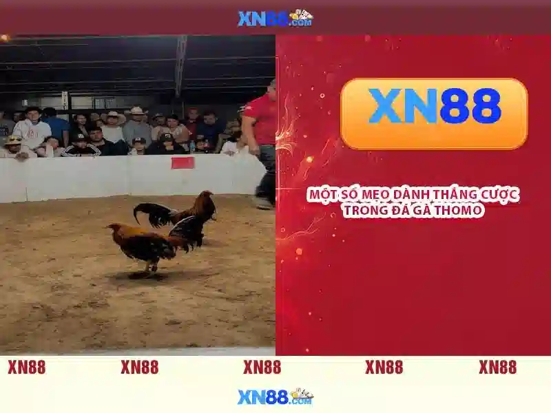 trò chơi trực tuyến - XN88