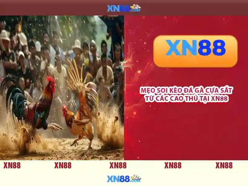 💎bóng đá nhận định kèo nhà cái💎