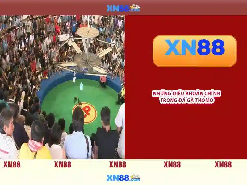 💎nhà cái v8💎