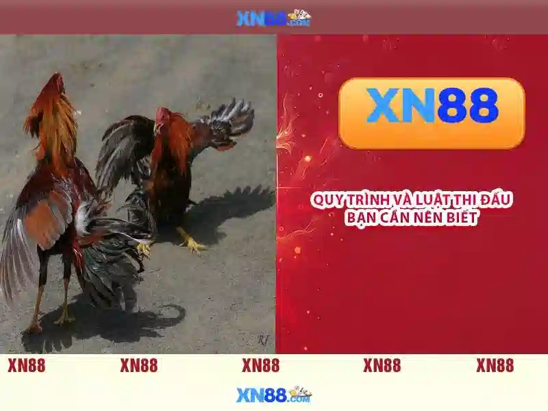 💎catch the big one 2 slot machine💎