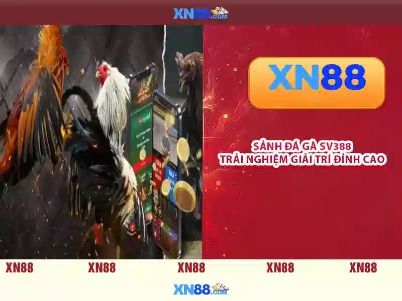 💎types of slot machines💎