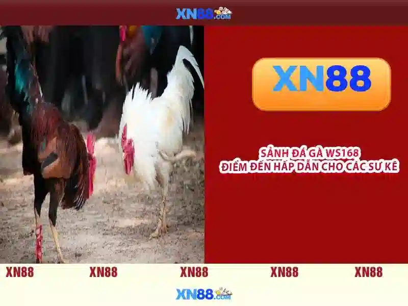 💎top nha cai khuyen mai💎