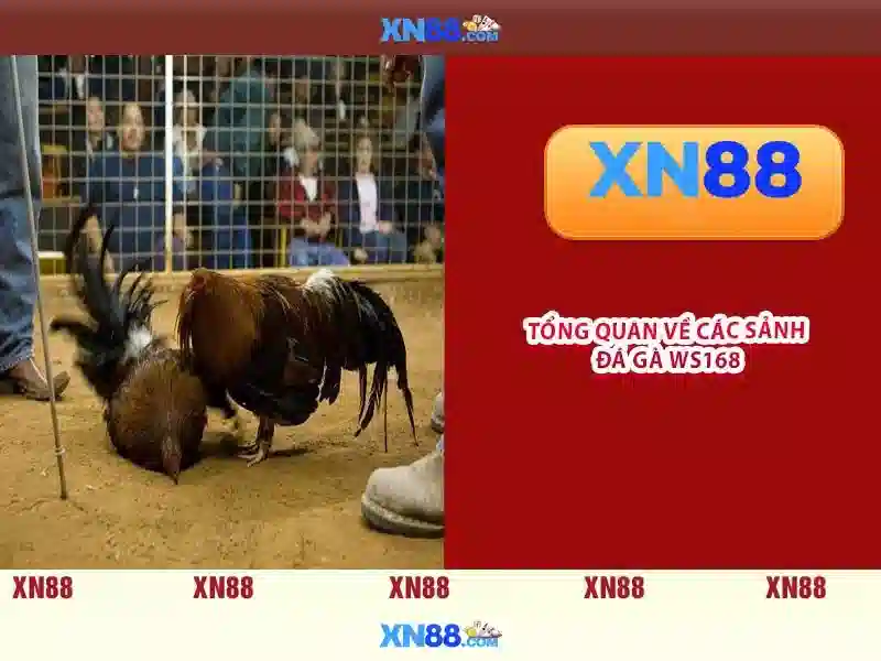 💎nhà cái uy tín az💎